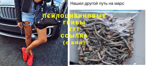 скорость Алексин