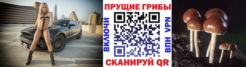 Галлюциногенные грибы мицелий  Дзержинск 