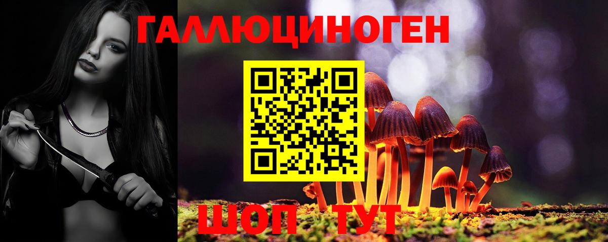 Псилоцибиновые грибы мухоморы Дзержинск